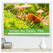 Schätze des Waldes - Pilze (hochwertiger Premium Wandkalender 2024 DIN A2 quer), Kunstdruck in Hochglanz