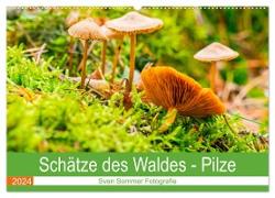 Schätze des Waldes - Pilze (Wandkalender 2024 DIN A2 quer), CALVENDO Monatskalender
