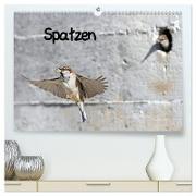 Spatzen (hochwertiger Premium Wandkalender 2024 DIN A2 quer), Kunstdruck in Hochglanz