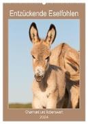 Entzückende Esel - Charmant und liebenswert (Wandkalender 2024 DIN A2 hoch), CALVENDO Monatskalender