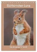 Eichhörnchen Luna (Tischkalender 2024 DIN A5 hoch), CALVENDO Monatskalender