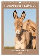 Entzückende Esel - Charmant und liebenswert (Wandkalender 2024 DIN A4 hoch), CALVENDO Monatskalender