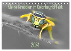 Kleine Krabbler im Colorkey-Effekt (Tischkalender 2024 DIN A5 quer), CALVENDO Monatskalender