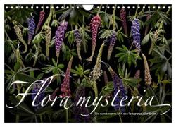 Flora mysteria - Die wundersame Welt des Fotografen Olaf Bruhn (Wandkalender 2024 DIN A4 quer), CALVENDO Monatskalender