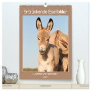 Entzückende Esel - Charmant und liebenswert (hochwertiger Premium Wandkalender 2024 DIN A2 hoch), Kunstdruck in Hochglanz