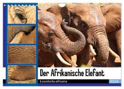 Der Afrikanische Elefant - Loxodonta africana (Wandkalender 2024 DIN A4 quer), CALVENDO Monatskalender