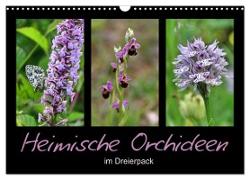 Heimische Orchideen im Dreierpack (Wandkalender 2024 DIN A3 quer), CALVENDO Monatskalender