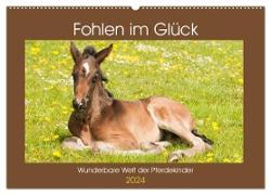 Fohlen im Glück - Wunderbare Welt der Pferdekinder (Wandkalender 2024 DIN A2 quer), CALVENDO Monatskalender