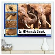 Der Afrikanische Elefant - Loxodonta africana (hochwertiger Premium Wandkalender 2024 DIN A2 quer), Kunstdruck in Hochglanz