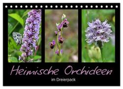Heimische Orchideen im Dreierpack (Tischkalender 2024 DIN A5 quer), CALVENDO Monatskalender