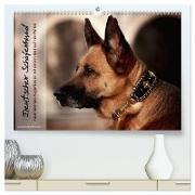 Deutscher Schäferhund ¿ Faszinierende Augenblicke mit einem Herz auf vier Pfoten (hochwertiger Premium Wandkalender 2024 DIN A2 quer), Kunstdruck in Hochglanz