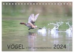 Vögel in Ost- und Norddeutschland 2024 (Tischkalender 2024 DIN A5 quer), CALVENDO Monatskalender