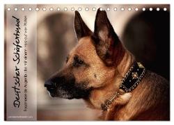 Deutscher Schäferhund ¿ Faszinierende Augenblicke mit einem Herz auf vier Pfoten (Tischkalender 2024 DIN A5 quer), CALVENDO Monatskalender