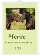 Pferde - Kameraden mit vier Hufen (Wandkalender 2024 DIN A4 hoch), CALVENDO Monatskalender