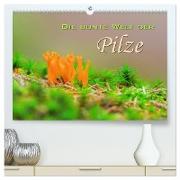 Die bunte Welt der Pilze (hochwertiger Premium Wandkalender 2024 DIN A2 quer), Kunstdruck in Hochglanz