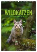 Wildkatzen - Kleine Samtpfoten des Waldes (Wandkalender 2024 DIN A2 hoch), CALVENDO Monatskalender