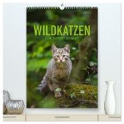 Wildkatzen - Kleine Samtpfoten des Waldes (hochwertiger Premium Wandkalender 2024 DIN A2 hoch), Kunstdruck in Hochglanz