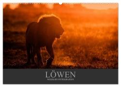 Löwen Wildlife-Fotografien (Wandkalender 2024 DIN A2 quer), CALVENDO Monatskalender