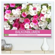 Balkonblumen. Die Blütenpracht für Blumenkästen (hochwertiger Premium Wandkalender 2024 DIN A2 quer), Kunstdruck in Hochglanz