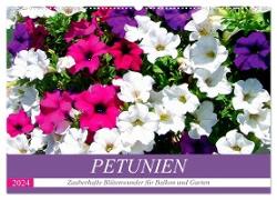 Petunien. Zauberhafte Blütenwunder für Balkon und Garten (Wandkalender 2024 DIN A2 quer), CALVENDO Monatskalender