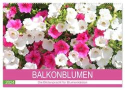 Balkonblumen. Die Blütenpracht für Blumenkästen (Wandkalender 2024 DIN A2 quer), CALVENDO Monatskalender