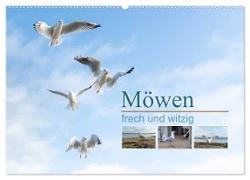 Möwen frech und witzig (Wandkalender 2024 DIN A2 quer), CALVENDO Monatskalender