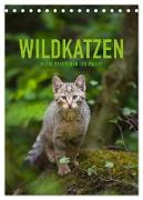 Wildkatzen - Kleine Samtpfoten des Waldes (Tischkalender 2024 DIN A5 hoch), CALVENDO Monatskalender