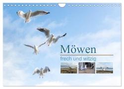 Möwen frech und witzig (Wandkalender 2024 DIN A4 quer), CALVENDO Monatskalender