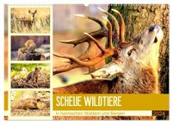 Scheue Wildtiere in heimischen Wäldern und Bergen (Wandkalender 2024 DIN A2 quer), CALVENDO Monatskalender