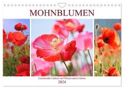 Mohnblumen. Leuchtender Liebreiz auf Wiesen und in Gärten (Wandkalender 2024 DIN A4 quer), CALVENDO Monatskalender