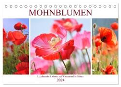 Mohnblumen. Leuchtender Liebreiz auf Wiesen und in Gärten (Tischkalender 2024 DIN A5 quer), CALVENDO Monatskalender
