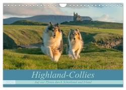 Highland-Collies - Auf vier Pfoten durch Schottland und Irland (Wandkalender 2024 DIN A4 quer), CALVENDO Monatskalender