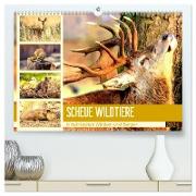 Scheue Wildtiere in heimischen Wäldern und Bergen (hochwertiger Premium Wandkalender 2024 DIN A2 quer), Kunstdruck in Hochglanz