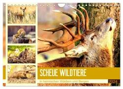 Scheue Wildtiere in heimischen Wäldern und Bergen (Wandkalender 2024 DIN A4 quer), CALVENDO Monatskalender