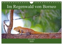 Im Regenwald von Borneo (Wandkalender 2024 DIN A4 quer), CALVENDO Monatskalender