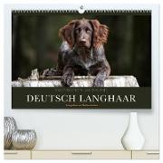 Faszination Jagdhund - Deutsch Langhaar (hochwertiger Premium Wandkalender 2024 DIN A2 quer), Kunstdruck in Hochglanz
