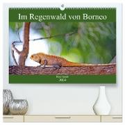 Im Regenwald von Borneo (hochwertiger Premium Wandkalender 2024 DIN A2 quer), Kunstdruck in Hochglanz