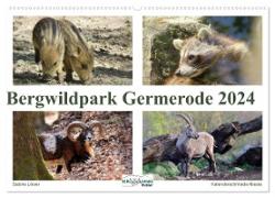 Bergwildpark Germerode (Wandkalender 2024 DIN A2 quer), CALVENDO Monatskalender