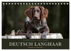 Faszination Jagdhund - Deutsch Langhaar (Tischkalender 2024 DIN A5 quer), CALVENDO Monatskalender