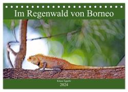 Im Regenwald von Borneo (Tischkalender 2024 DIN A5 quer), CALVENDO Monatskalender