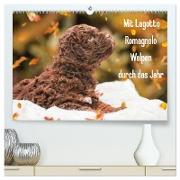 Mit Lagotto Romagnolo Welpen durch das Jahr (hochwertiger Premium Wandkalender 2024 DIN A2 quer), Kunstdruck in Hochglanz