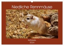 Niedliche Rennmäuse (Wandkalender 2024 DIN A2 quer), CALVENDO Monatskalender