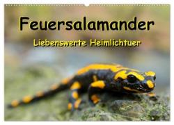 Feuersalamander - Liebenswerte Heimlichtuer (Wandkalender 2024 DIN A2 quer), CALVENDO Monatskalender