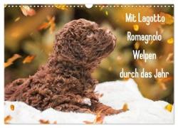 Mit Lagotto Romagnolo Welpen durch das Jahr (Wandkalender 2024 DIN A3 quer), CALVENDO Monatskalender
