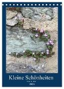 Kleine Schönheiten an Stein (Tischkalender 2024 DIN A5 hoch), CALVENDO Monatskalender