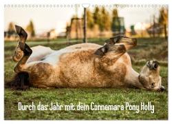 Durch das Jahr mit dem Connemara Pony Holly (Wandkalender 2024 DIN A3 quer), CALVENDO Monatskalender