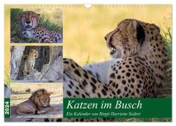 Katzen im Busch (Wandkalender 2024 DIN A3 quer), CALVENDO Monatskalender