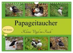 Papageitaucher Kleine Vögel im Frack CH Version (Wandkalender 2024 DIN A4 quer), CALVENDO Monatskalender