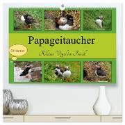 Papageitaucher Kleine Vögel im Frack CH Version (hochwertiger Premium Wandkalender 2024 DIN A2 quer), Kunstdruck in Hochglanz