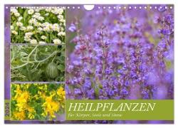 Heilpflanzen für Körper, Seele und Sinne (Wandkalender 2024 DIN A4 quer), CALVENDO Monatskalender